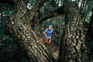 BIB: 
                            <button type="button" onclick="openModal(25392485)" class="btn btn-primary btn-sm float-right btn-popup" data-toggle="modal" data-target=".modal-high-quality">
                        <i class="fas fa-shopping-cart"></i> Add to Cart
                    </button>
                                            <button type="button" onclick="isThisMe(25392485, true)" class="btn btn-success btn-sm float-right btn-popup btn-isme hidden" data-toggle="tooltip" data-placement="bottom" title="นี่คือรูปของคุณใช่ไหม คลิกที่นี่เพื่อเอาเข้าอัลบั้ม">
                        <i class="fas fa-plus"></i> Add to album
                    </button>
                    <button type="button" onclick="isThisMe(25392485, false)" class="btn btn-warning btn-sm float-right btn-popup btn-isnotme hidden">
                        <i class="fas fa-ban"></i> Remove from album
                    </button>